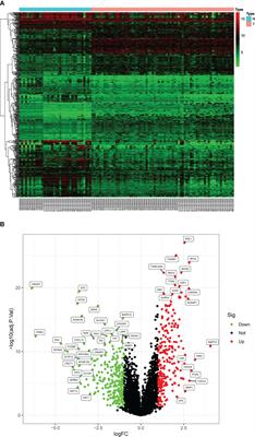 Novel biomarkers of inflammation-associated immunity in cervical cancer